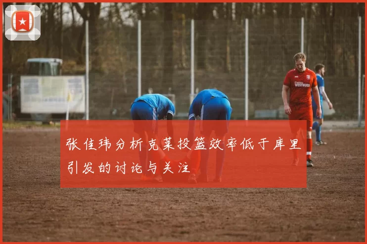 张佳玮分析克莱投篮效率低于库里引发的讨论与关注